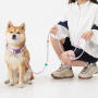 Wholesale Adjustable Multifunctional Dog Collar and Rope Leash Set