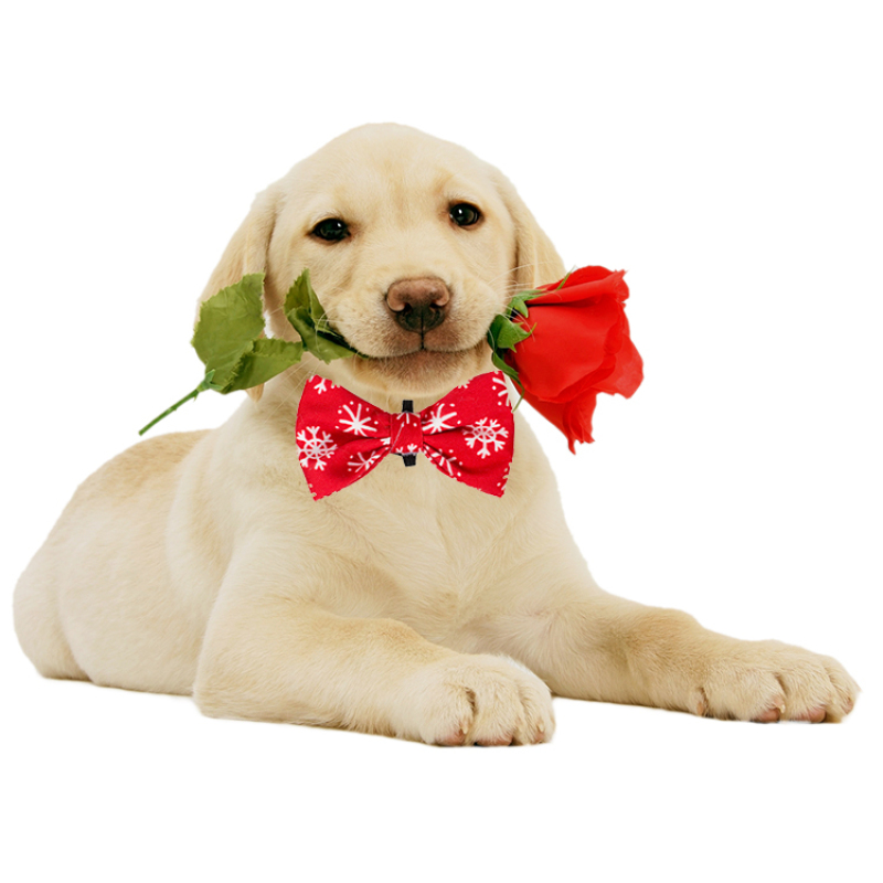 Manufacturer wholesale adjustable cotton pet bandana dog bow tie christmas