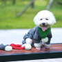 Manufacturer wholesale custom logo design red green grey warm soft pet scarves dog scarf