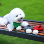 Manufacturer wholesale custom logo design red green grey warm soft pet scarves dog scarf