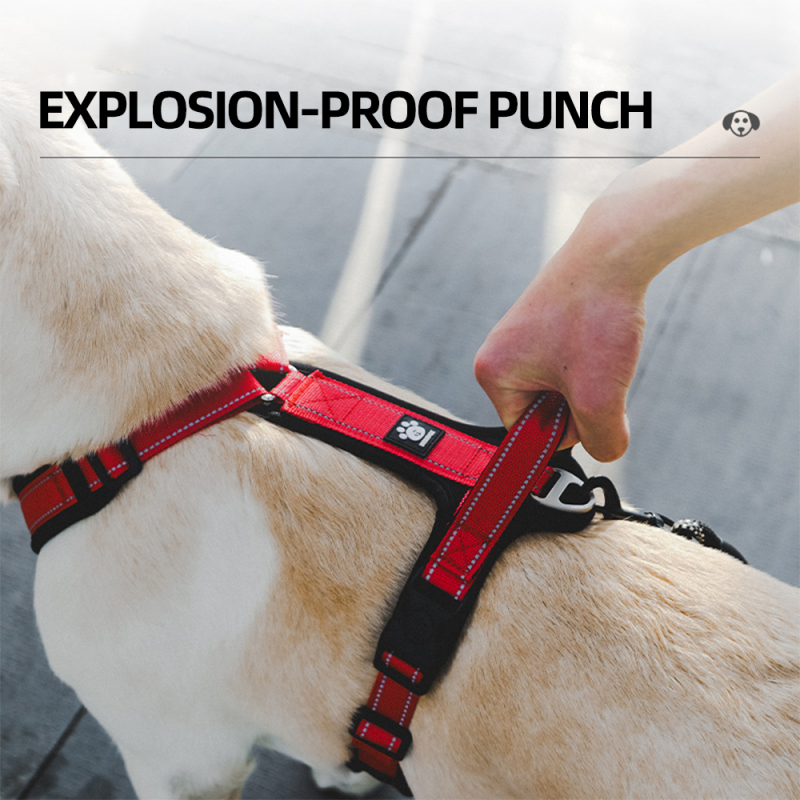 Wholesale Reflective Stripe Breathable Dog Harness and Leash Large