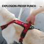 Wholesale Reflective Stripe Breathable Dog Harness and Leash Large