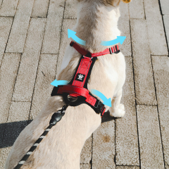 Wholesale Reflective Stripe Breathable Dog Harness and Leash Large