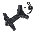Black +leash