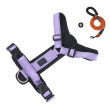 Purple +leash
