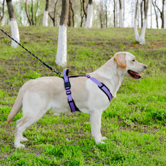 Wholesale Reflective Stripe Breathable Dog Harness and Leash Large
