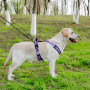 Wholesale Reflective Stripe Breathable Dog Harness and Leash Large