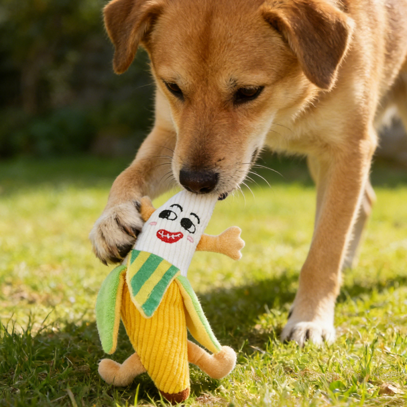 Wholesale Custom Logo Squeaky Chew Dog Plush Toys