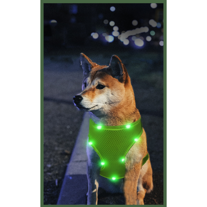 Manufacturer wholesale outdoor blue red green breathable dog harness led