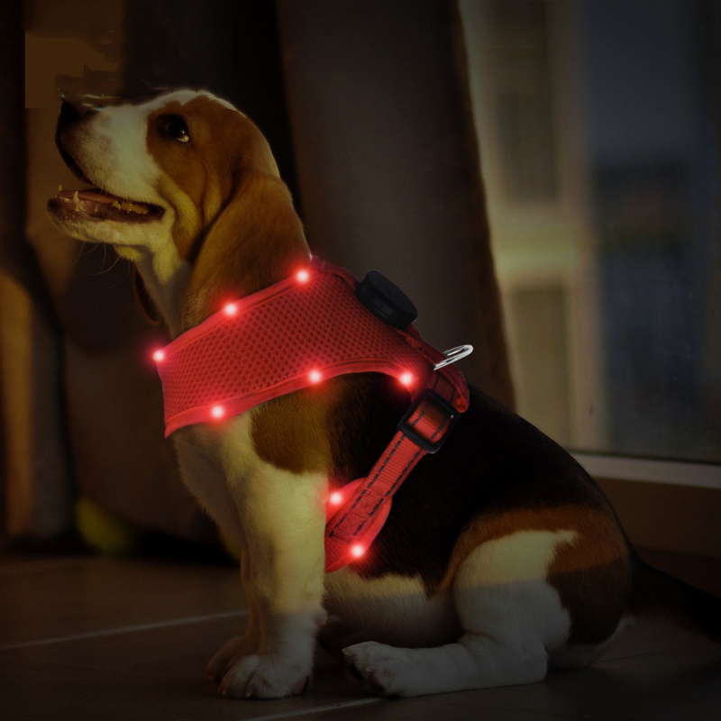 Manufacturer wholesale outdoor blue red green breathable dog harness led