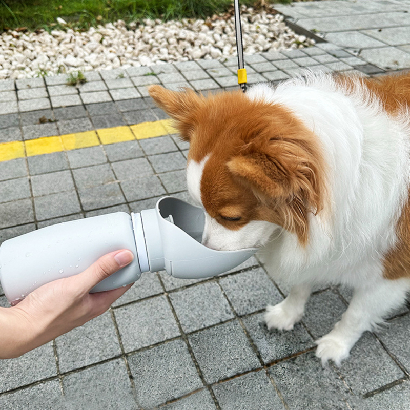Manufacturer wholesale silicone foldable dog water bottle portable