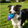 Manufacturer Wholesale Squeaky TPR Pet Product Supplier Dog Chew Toy