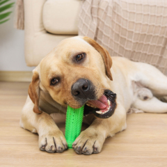 Manufacturer wholesale tpr dog clean teeth chew toy