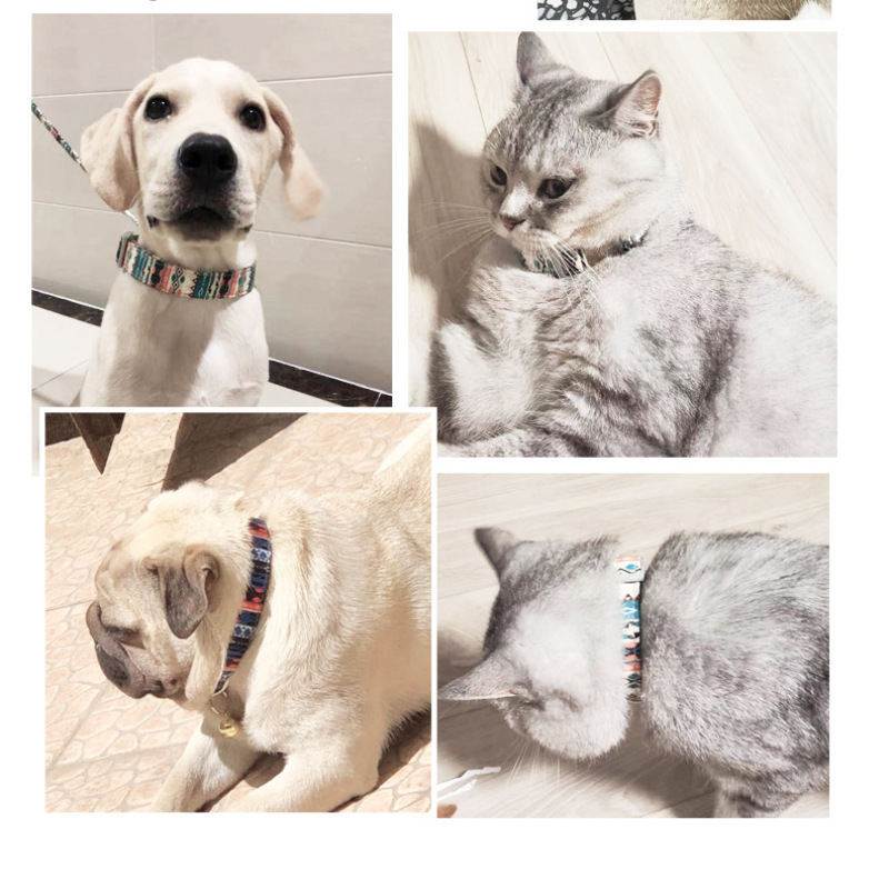 Manufacturer wholesale multi-design custom logo cat collar adjustable
