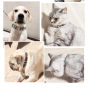 Manufacturer wholesale multi-design custom logo cat collar adjustable