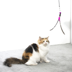 Wholesale manufacturer cheap interactive cat feather teaser toys