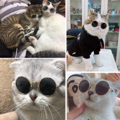 Manufacturer wholesale cool multi-colors dazzle metal fashion pet dog cat sunglasses