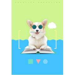 Manufacturer wholesale cool multi-colors dazzle metal fashion pet dog cat sunglasses