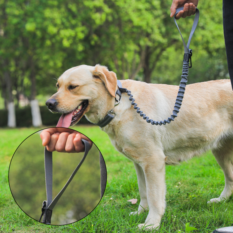 Wholesale Extendable Pet Leash Dog Car Seat Belt