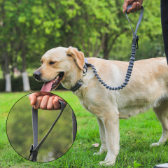 Wholesale Extendable Pet Leash Dog Car Seat Belt