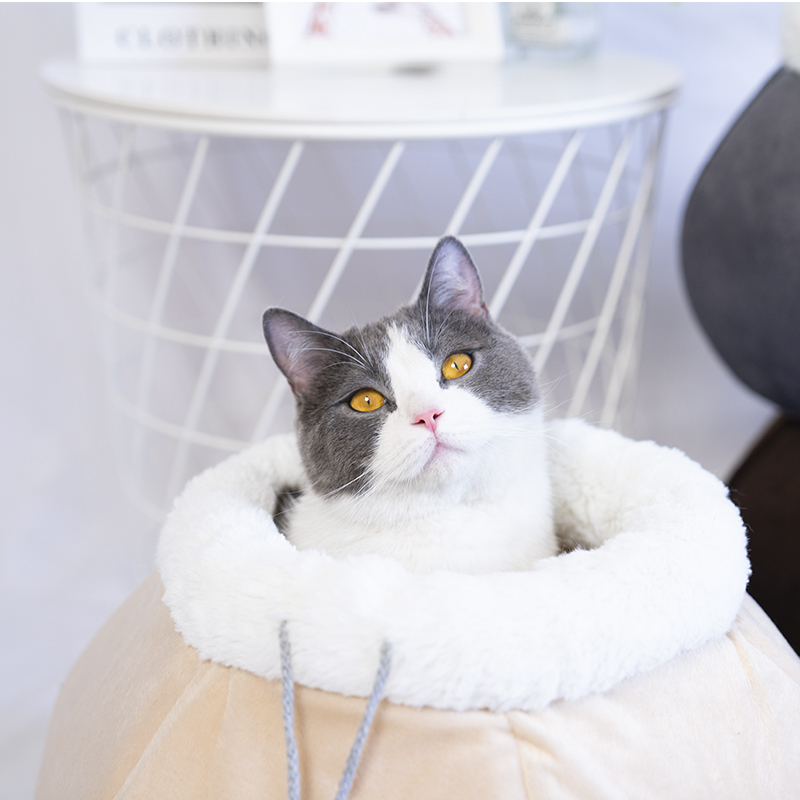 Manufacturer wholesale short plush cotton stuffed lantern cat warm house