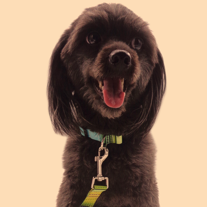 Manufacturer wholesale bohemian folk style adjustable dog collar multi-pattern
