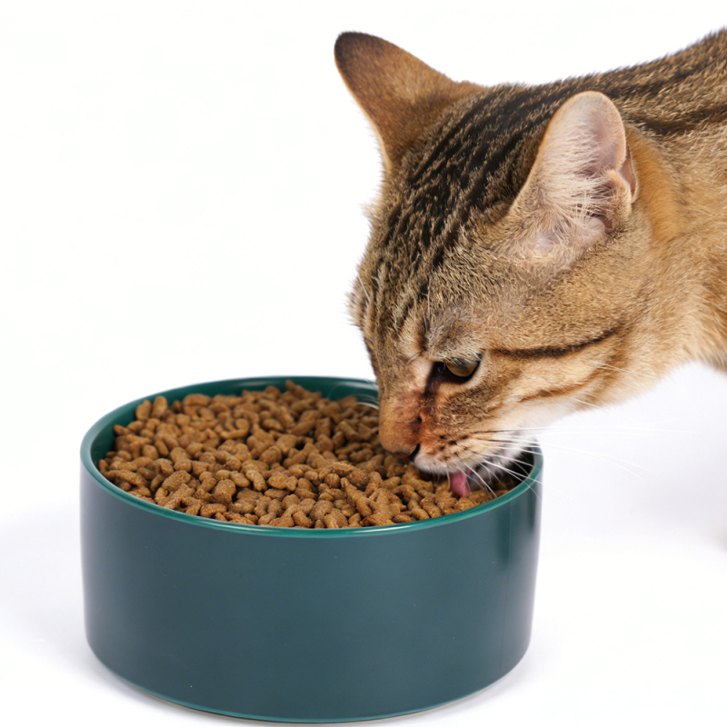 Wholesale Custom Logo Ceramic Cat Dog Pet Bowls