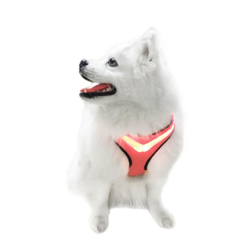 Manufacturer wholesale S M L blue green red led dog harness breathable