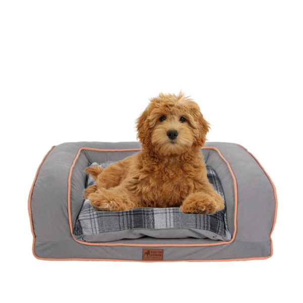 Manufacturer wholesale custom design dog sofa bed pet products