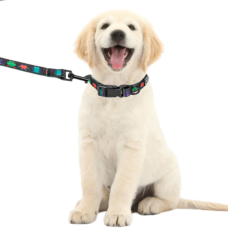 Manufacturer Wholesale Custom Logo Outdoor Dog Leash Cheap