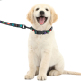 Manufacturer Wholesale Custom Logo Outdoor Dog Leash Cheap