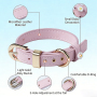 Wholesale Multi-colors Adjustable PU Cat Leather Collar