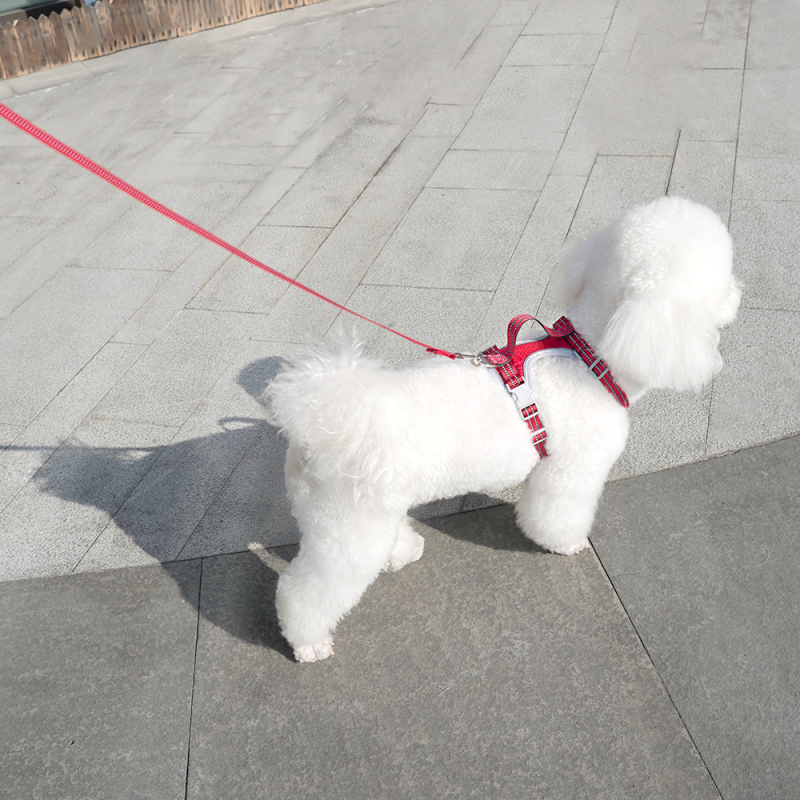 Wholesale Luxury Pet Product Anti-Lost Dog Harness With Leash