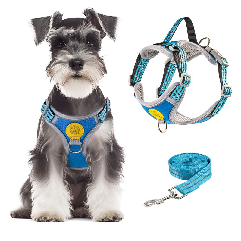 Wholesale Luxury Pet Product Anti-Lost Dog Harness With Leash