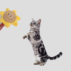 Manufacturer wholesale sun flower design cute cat teasing toys