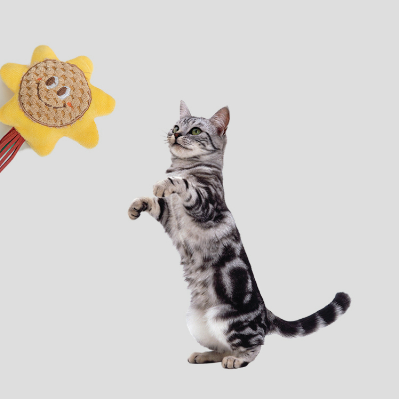 Manufacturer wholesale sun flower design cute cat teasing toys