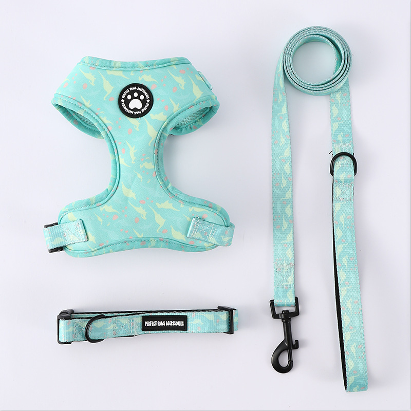 Wholesale Custom Logo Outdoor Dog Collar Leash and Harness Set