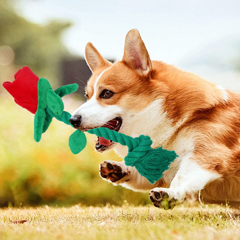 Manufacturer Wholesale Custom Logo Chew Flower Design Dog Plush Rope Toys