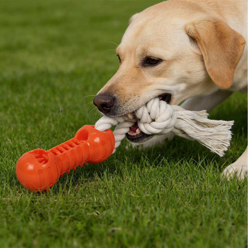 Wholesale Custom Logo Chew TPR Rope Toys for Dogs