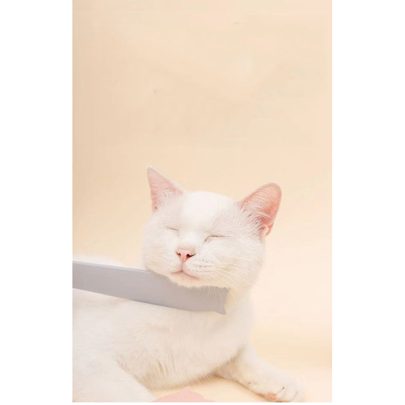 Manufacturer wholesale ABS pink grey cat tongue design comb with ear