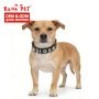 Wholesale DIY Adjustable PU Leather Dog Collar with Shinning  Letter