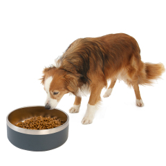 Manufacturer wholesale multi-colors cooling cat dog bowl stainless steel