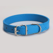Blue 2