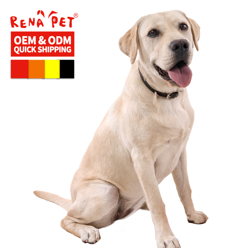 Wholesale Adjustable Multi-colors Dog PU Leather Collar