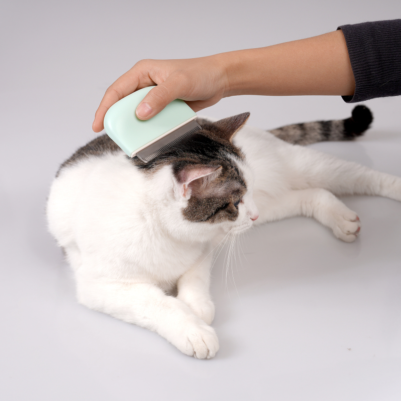 Manufacturer wholesale green pink white grooming tool cat comb