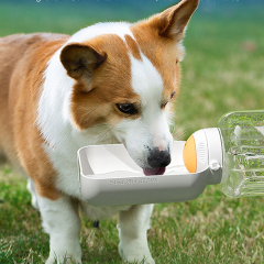 Wholesale Outdoor Travel Portable Dog Water Bottle Large