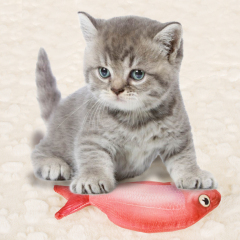 china wholesale manufacturers ginger scallion fish cat toy set