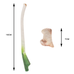 china wholesale manufacturers ginger scallion fish cat toy set