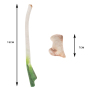 china wholesale manufacturers ginger scallion fish cat toy set