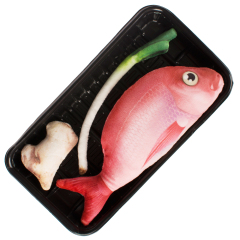 china wholesale manufacturers ginger scallion fish cat toy set